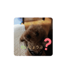 チョッパー、まるのスタンプ（個別スタンプ：13）