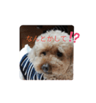 チョッパー、まるのスタンプ（個別スタンプ：29）