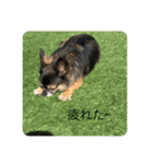 GUGU RARA（個別スタンプ：4）