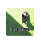 GUGU RARA（個別スタンプ：16）