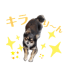 仲良しチヮワのマナとココ2（個別スタンプ：4）