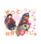 仲良しチヮワのマナとココ2（個別スタンプ：10）