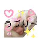 袖ヶ浦三兄弟ラテモモムギ（個別スタンプ：2）