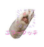 袖ヶ浦三兄弟ラテモモムギ（個別スタンプ：8）