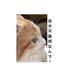 袖ヶ浦三兄弟ラテモモムギ（個別スタンプ：22）