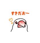 白文鳥のふくちゃん（個別スタンプ：1）