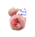 花々2（個別スタンプ：4）