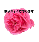 花々2（個別スタンプ：6）