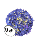 花々2（個別スタンプ：13）