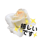 花々2（個別スタンプ：26）