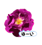 花々2（個別スタンプ：28）