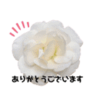 花々2（個別スタンプ：31）