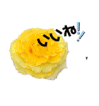 花々2（個別スタンプ：39）