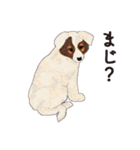 和文千代紙スタンプ（個別スタンプ：9）