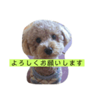 ローラの写真スタンプ（個別スタンプ：7）
