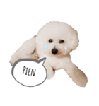 もふもふ犬はるの日常スタンプ（個別スタンプ：3）