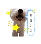 もふもふ犬はるの日常スタンプ（個別スタンプ：14）