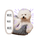 もふもふ犬はるの日常スタンプ（個別スタンプ：15）