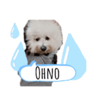 もふもふ犬はるの日常スタンプ（個別スタンプ：21）