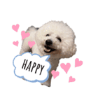 もふもふ犬はるの日常スタンプ（個別スタンプ：24）