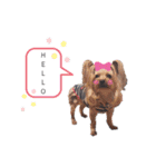 エマネル美容室✂vol.2（個別スタンプ：1）