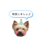エマネル美容室✂vol.2（個別スタンプ：3）