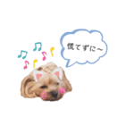 エマネル美容室✂vol.2（個別スタンプ：5）