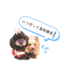 エマネル美容室✂vol.2（個別スタンプ：8）