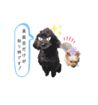 エマネル美容室✂vol.2（個別スタンプ：10）