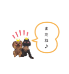 エマネル美容室✂vol.2（個別スタンプ：13）