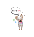 エマネル美容室✂vol.2（個別スタンプ：14）