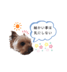 エマネル美容室✂vol.2（個別スタンプ：18）