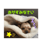 こつぶすたんぷ（個別スタンプ：5）