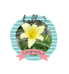 琴乃の花のスタンプ2（個別スタンプ：11）