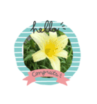 琴乃の花のスタンプ2（個別スタンプ：12）
