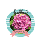琴乃の花のスタンプ2（個別スタンプ：13）
