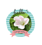 琴乃の花のスタンプ2（個別スタンプ：15）