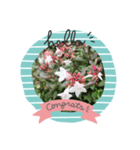 琴乃の花のスタンプ2（個別スタンプ：16）