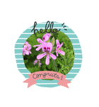 琴乃の花のスタンプ2（個別スタンプ：17）
