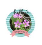 琴乃の花のスタンプ2（個別スタンプ：23）