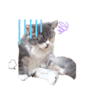 ねこはるすたんぷ2（個別スタンプ：1）