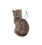 ねこはるすたんぷ2（個別スタンプ：5）