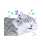 ねこはるすたんぷ2（個別スタンプ：6）