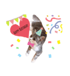 ねこはるすたんぷ2（個別スタンプ：8）