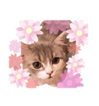 ねこはるすたんぷ2（個別スタンプ：9）