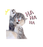 ねこはるすたんぷ2（個別スタンプ：13）