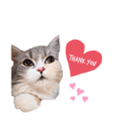ねこはるすたんぷ2（個別スタンプ：14）