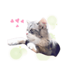 ねこはるすたんぷ2（個別スタンプ：15）