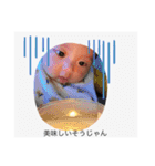 陽一3（個別スタンプ：23）