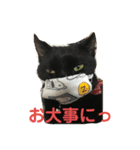 くろ猫(=^ェ^=)あずき（個別スタンプ：9）